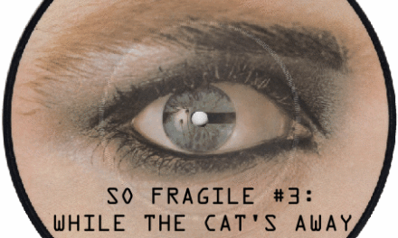 So Fragile #3: While the Cat’s Away