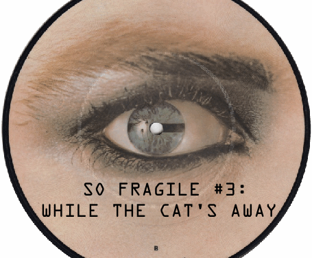 So Fragile #3: While the Cat’s Away