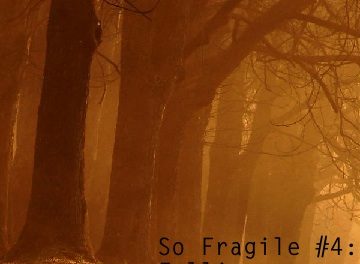 So Fragile #4: Falling