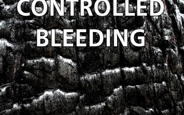 Controlled Bleeding, “Odes To Bubbler”