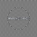 Carter Tutti Void, "Transverse"