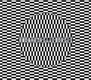 Carter Tutti Void, “Transverse”
