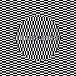 Carter Tutti Void, “Transverse”