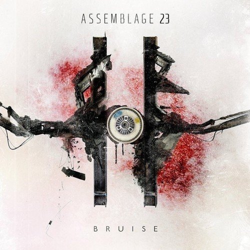 In Conversation: Assemblage 23, “Bruise”