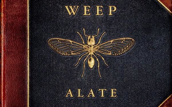 Weep, “Alate”