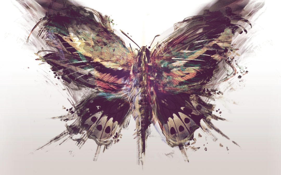 Tineidae, “Lights”