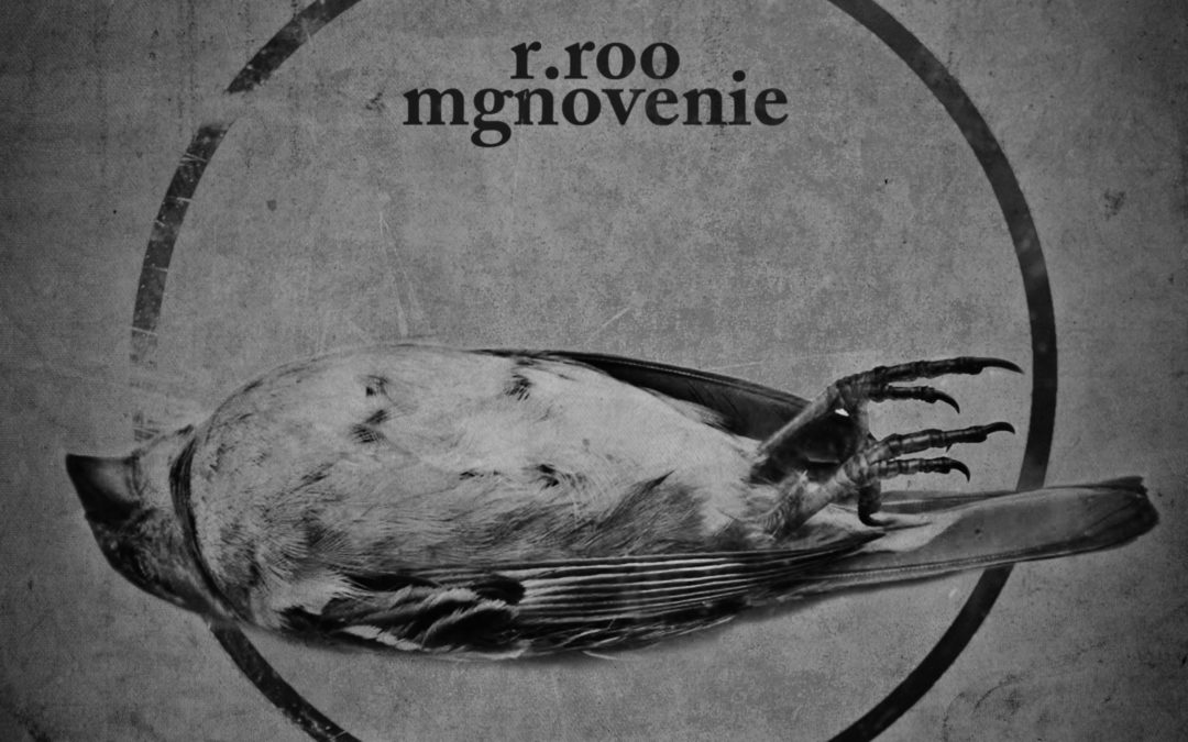 r.roo, “mgnovenie”
