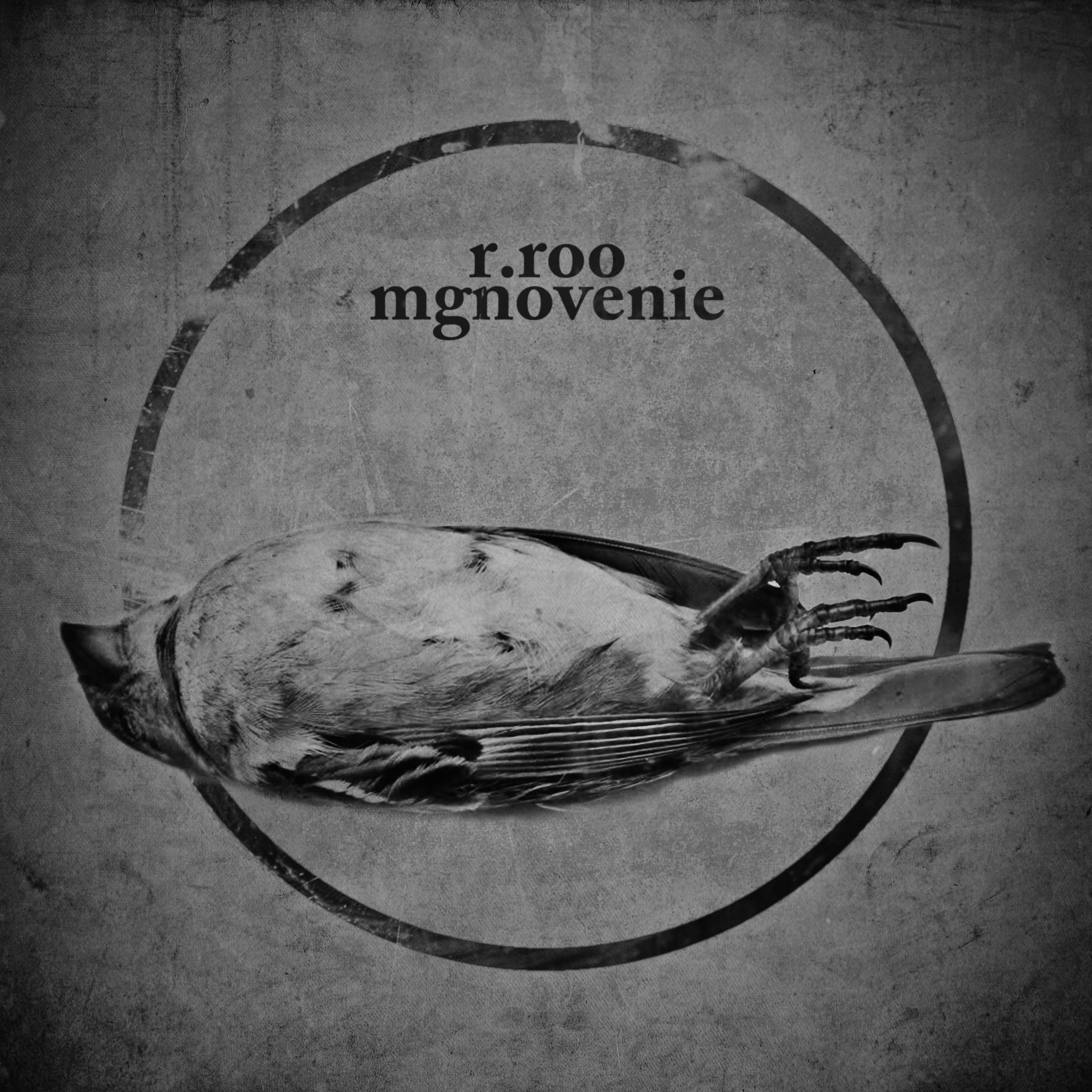 TD012-r.roo-mgnovenie-cover r.roo, "mgnovenie"