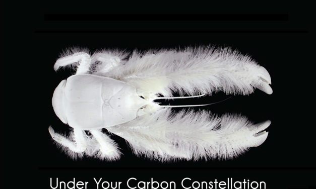 Organic, “Under Your Carbon Constellation”