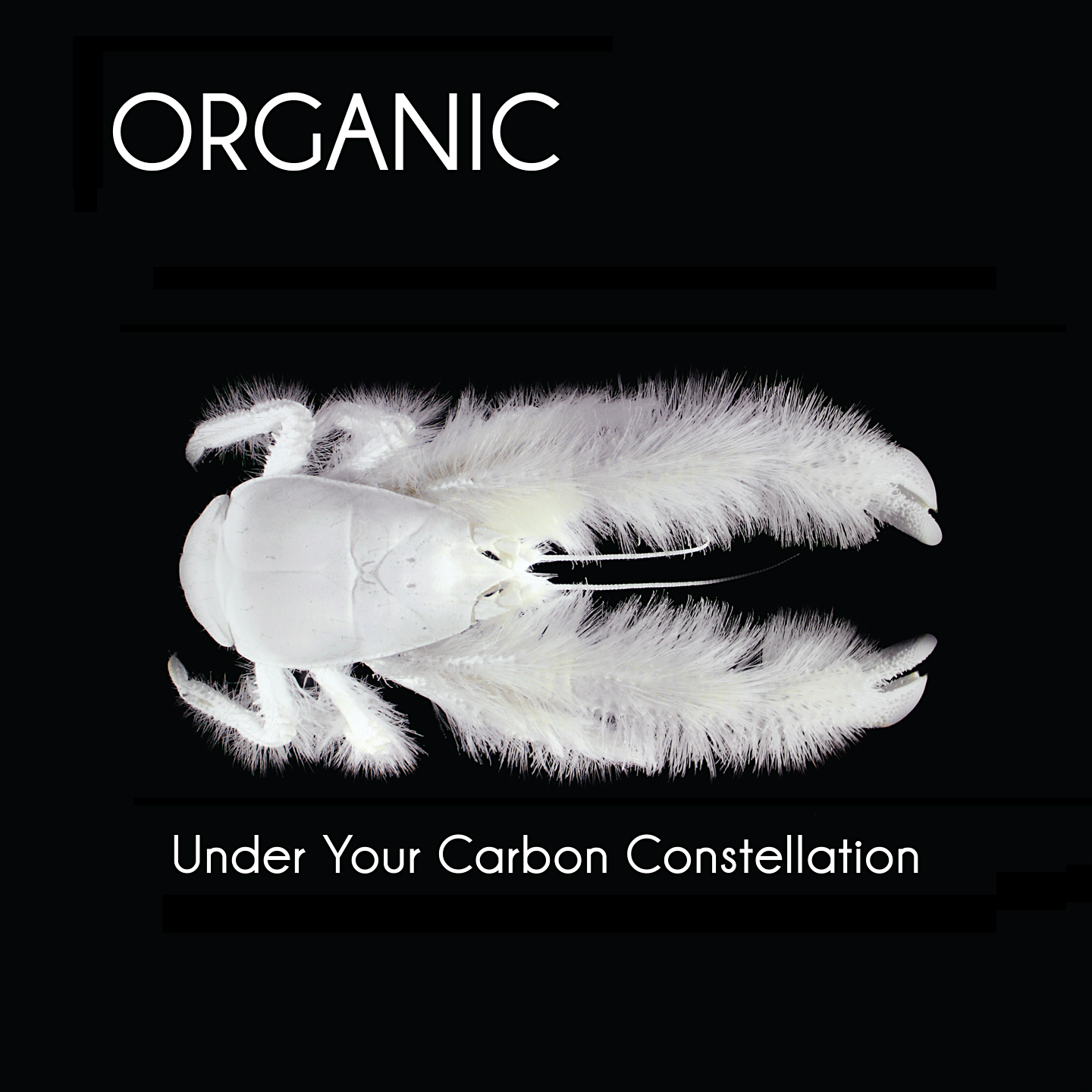 Organic Organic, "Under Your Carbon Constellation"