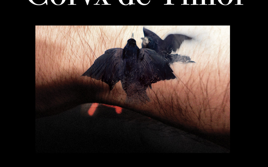 Corvx de Timor, “Scars Heal”