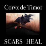 Corvx de Timor, "Scars Heal"