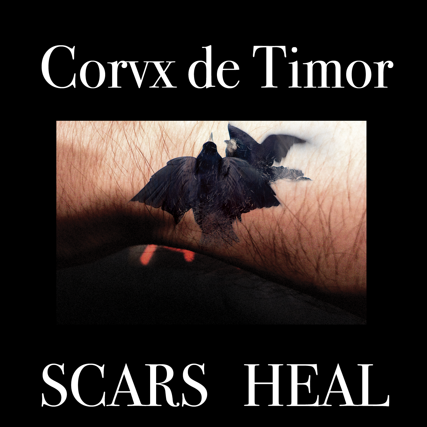 Corvx-de-Timor-Scars-Heal-cover Corvx de Timor, "Scars Heal"