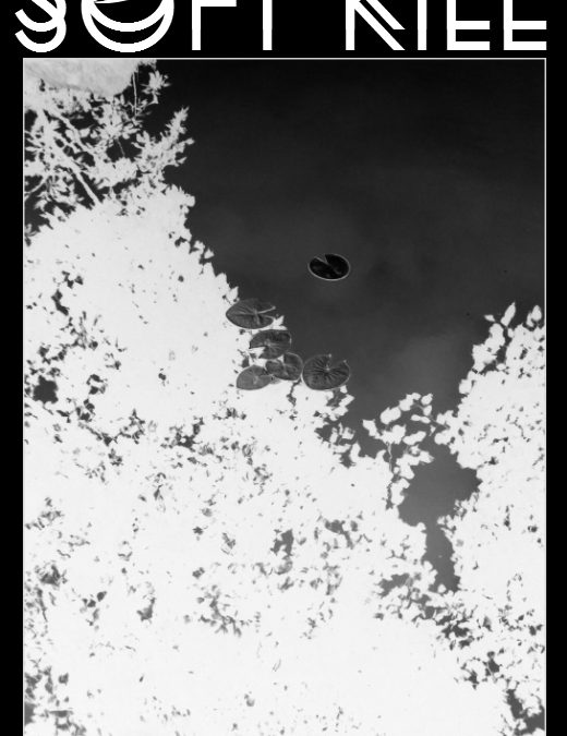 Soft Kill, “Circle Of Trees”