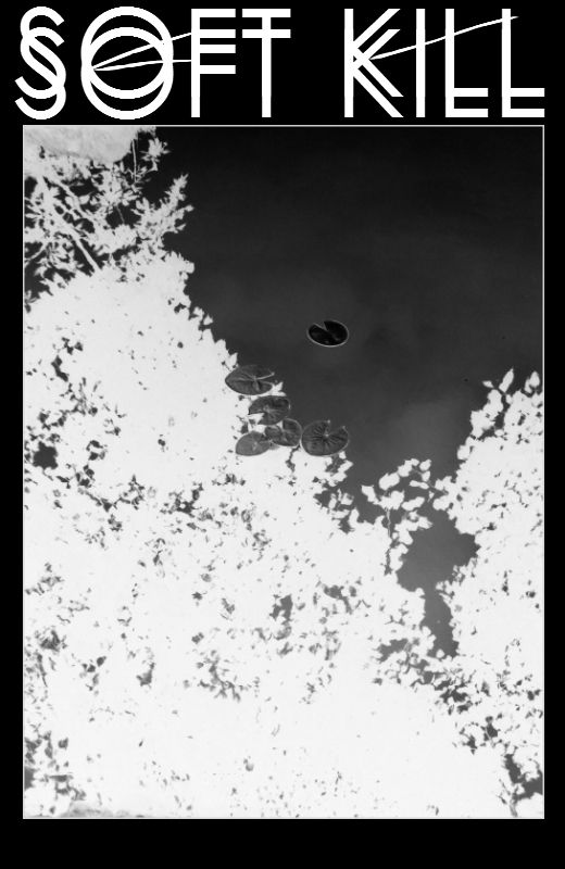 cover Soft Kill, "Circle Of Trees"