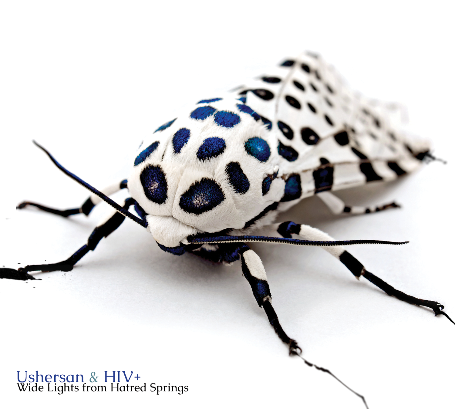 3942387194-1 USHERsan & HIV+, "Wide Lights From Hatred Springs"