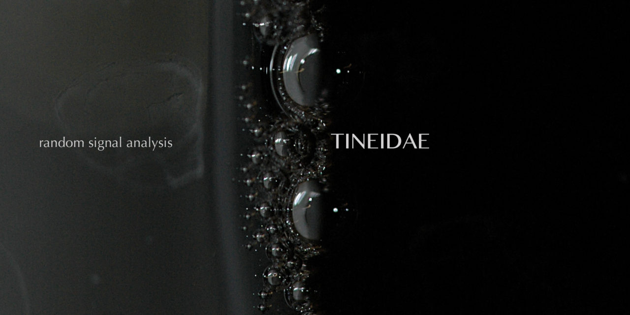 Tineidae, “Random Signal Analysis”