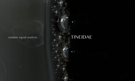 Tineidae, “Random Signal Analysis”