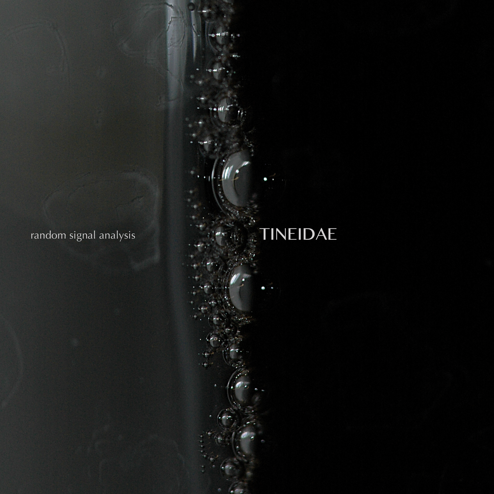 cover Tineidae, "Random Signal Analysis"