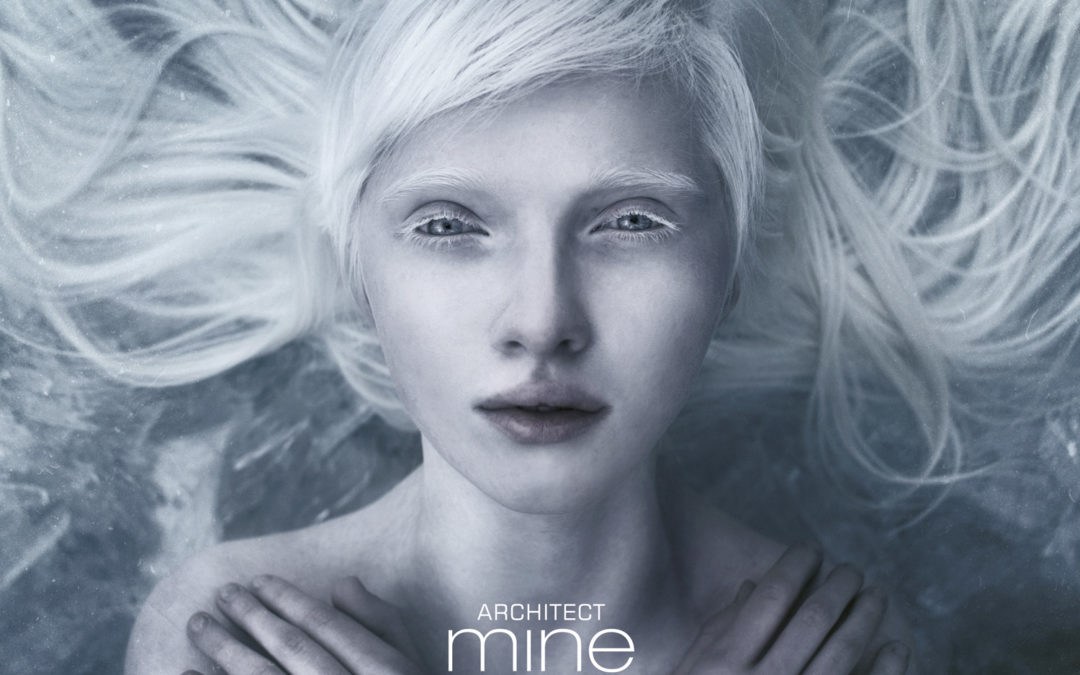 Architect, “Mine”