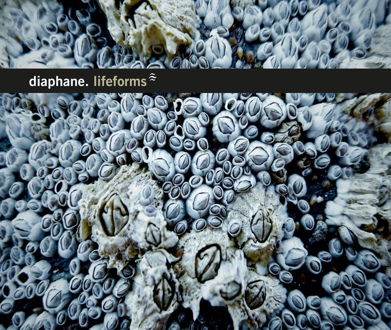 Diaphane, “Lifeforms”