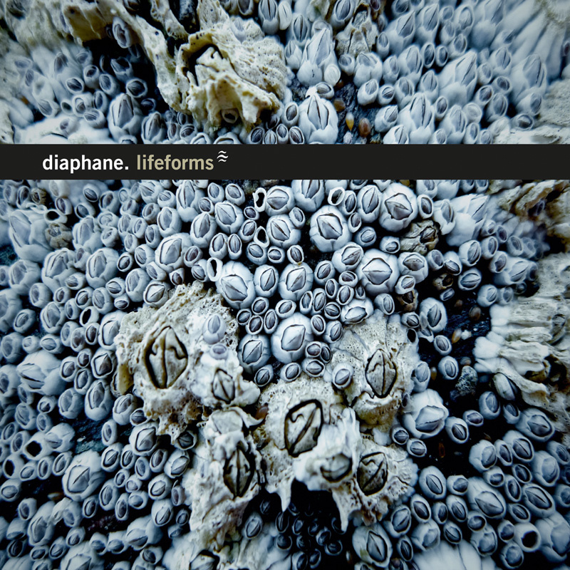 diaphane Diaphane, "Lifeforms"
