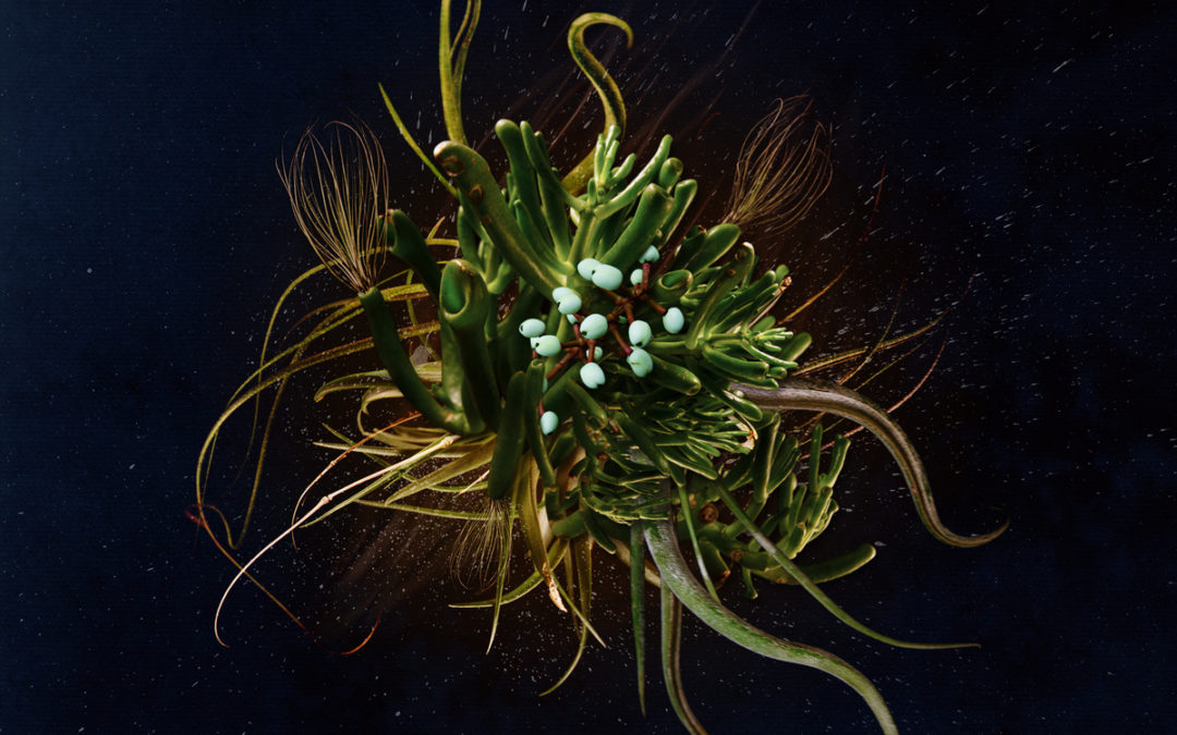 Rentip, “Daily Routines”