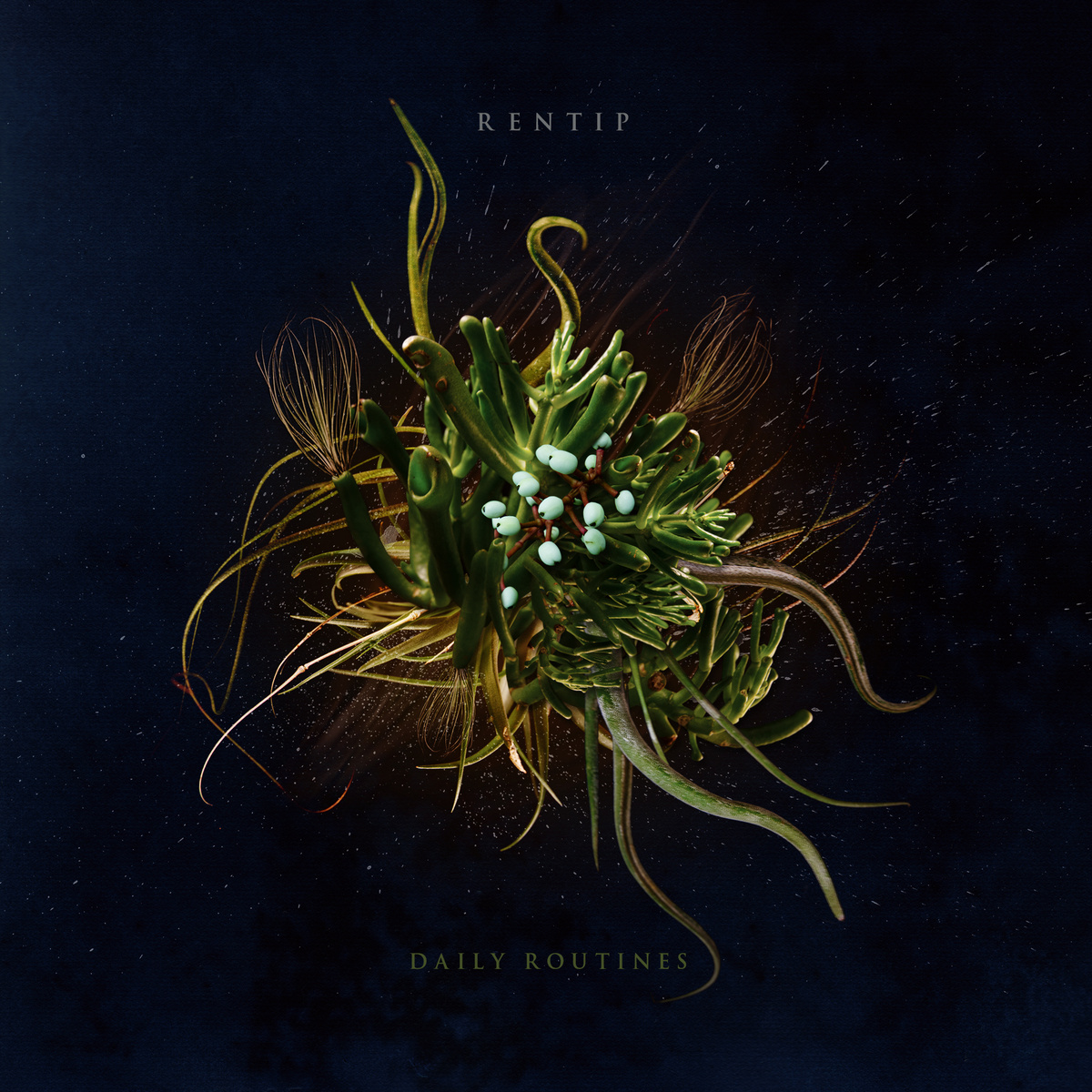 a1222899684_10 Rentip, "Daily Routines"