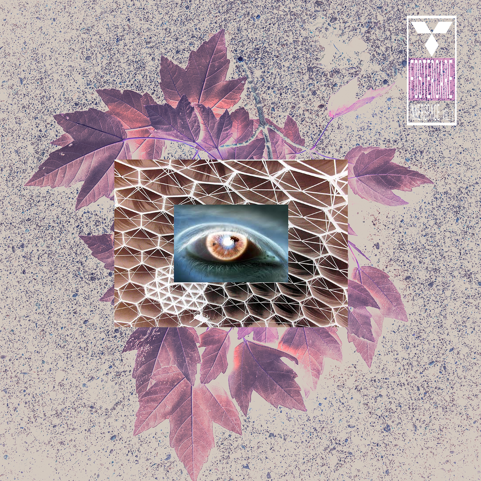 cover Fostercare, "Innerspace vol 1"