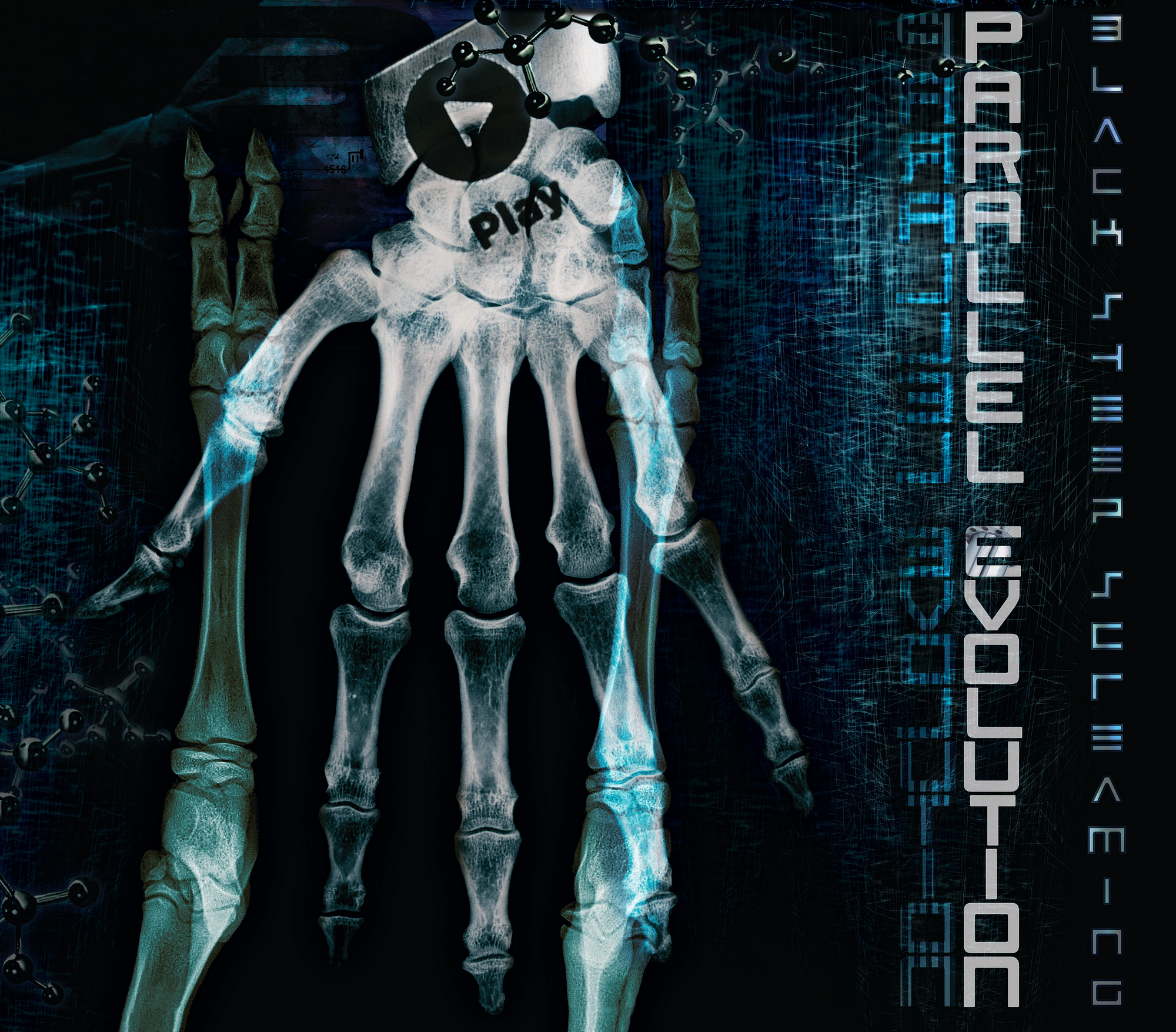 Print Black Sheep Screaming, "Parallel Evolution"