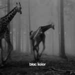 Blac Kolor, "Wide Noise"