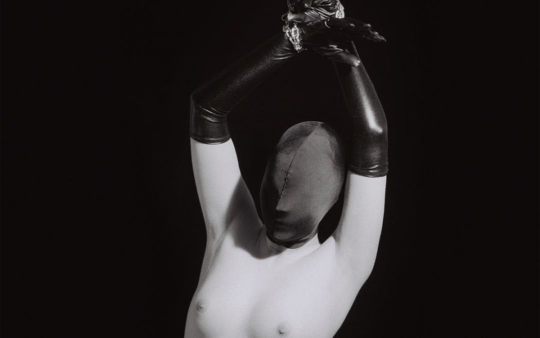 Animal Bodies, “The Killing Scene”