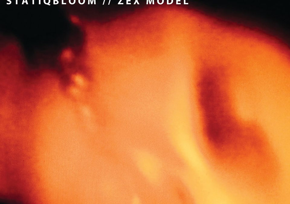 Statiqbloom/Zex Model, Split LP