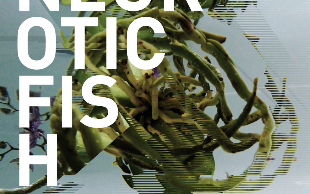 In Conversation: Neuroticfish, “A Sign Of Life”