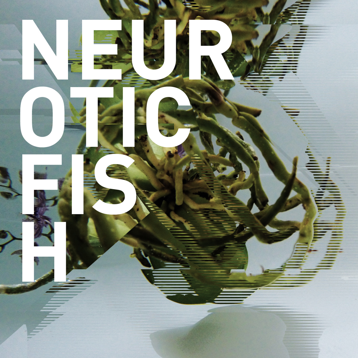 neuroticfish In Conversation: Neuroticfish, "A Sign Of Life"