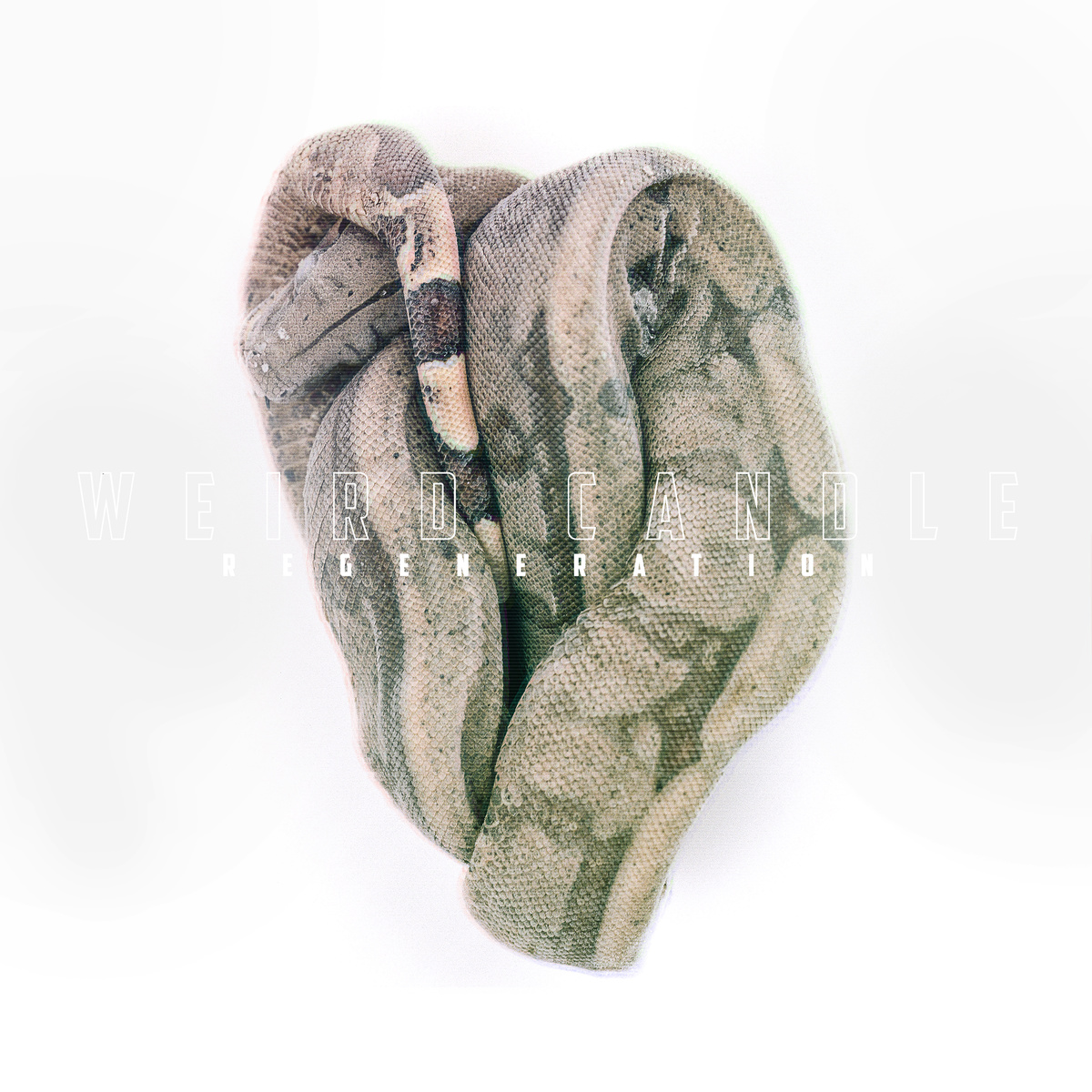 regeneration Weird Candle, "Regeneration"