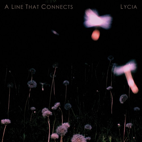 In Conversation: Lycia, “A Line That Connects”