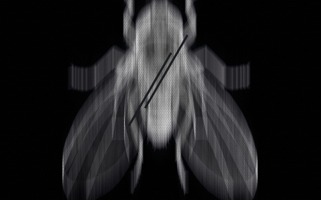 Blac Kolor, “Stormfly”