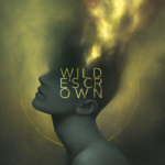 D/SIR, "Wilde's Crown"