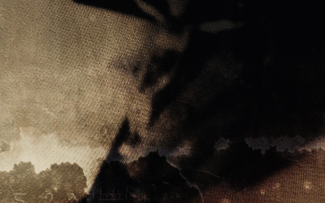 Mildreda, “Coward Philosophy”