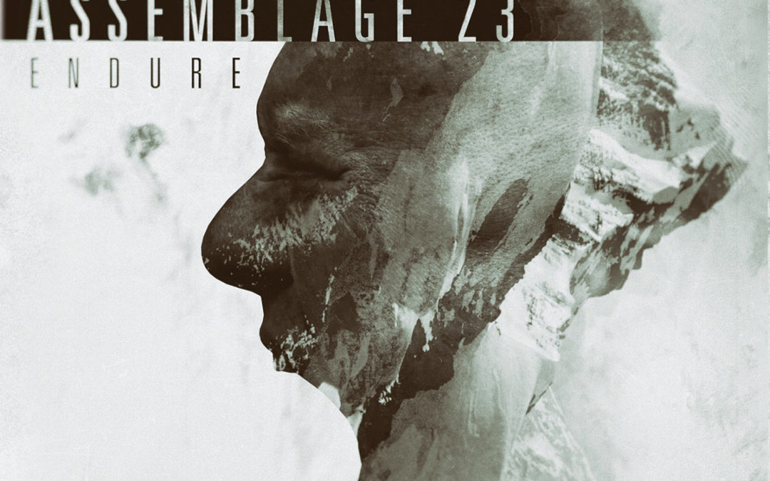 Assemblage 23, “Endure”