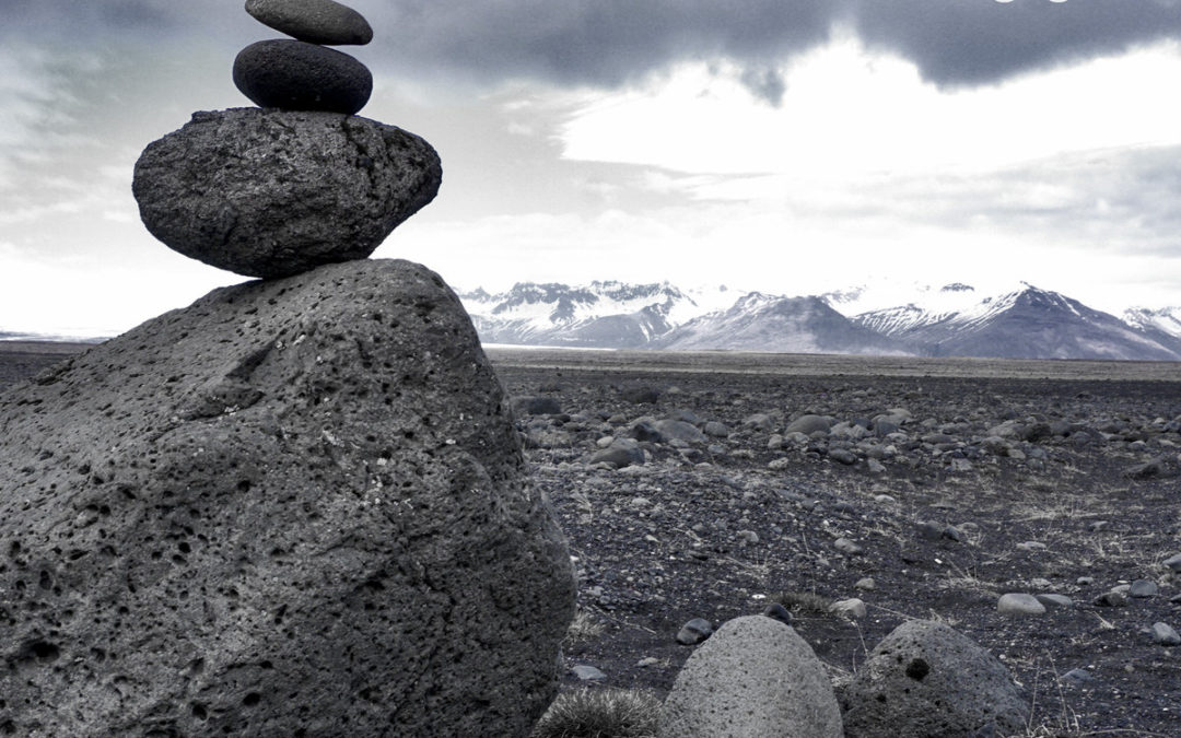 Null Device, “While You Were Otherwise Engaged”