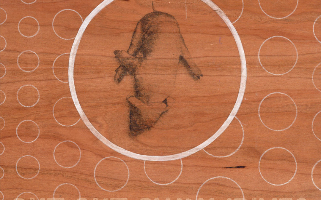 Out Out, “Swan/Dive?”