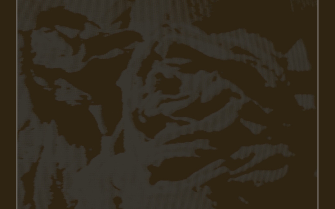 Pure Ground, “Giftgarten”