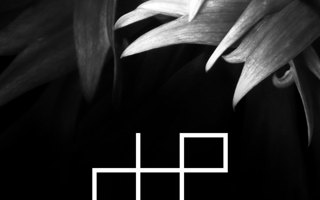 X Marks the Pedwalk, “Secrets”