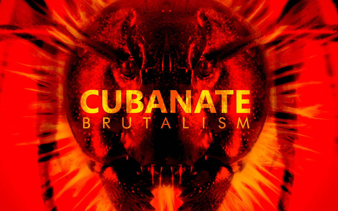 Cubanate, “Brutalism”