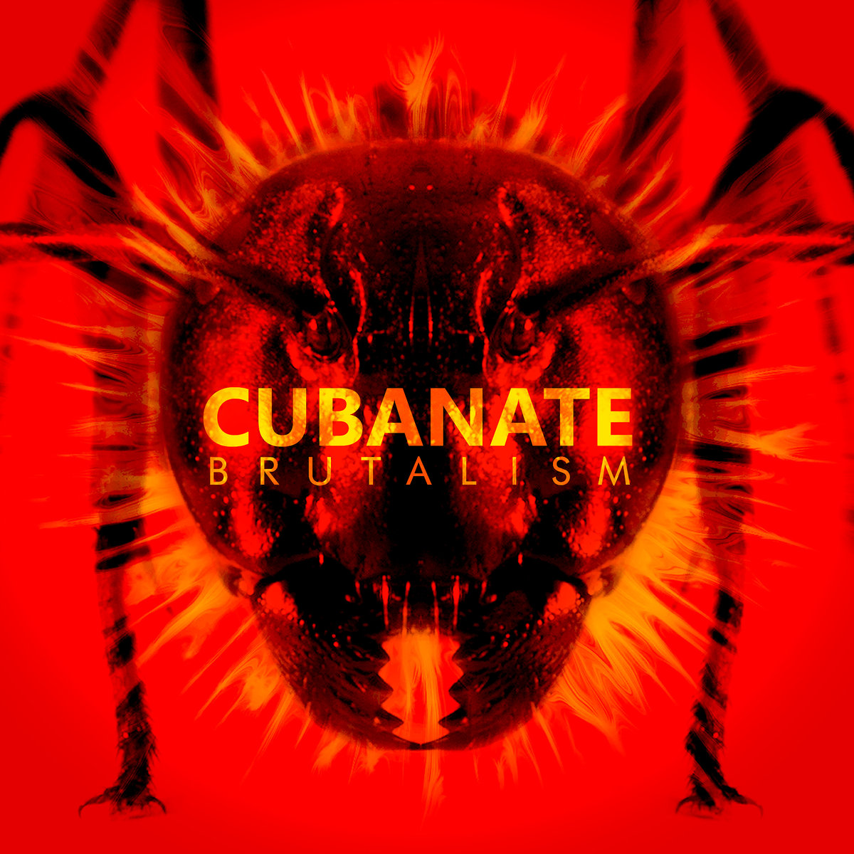 cubanate Cubanate, "Brutalism"