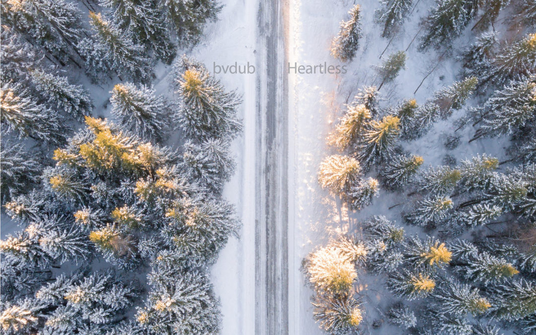 Observer: bvdub & raison d’être + Troum