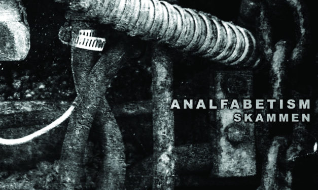 Analfabetism, “Skammen”