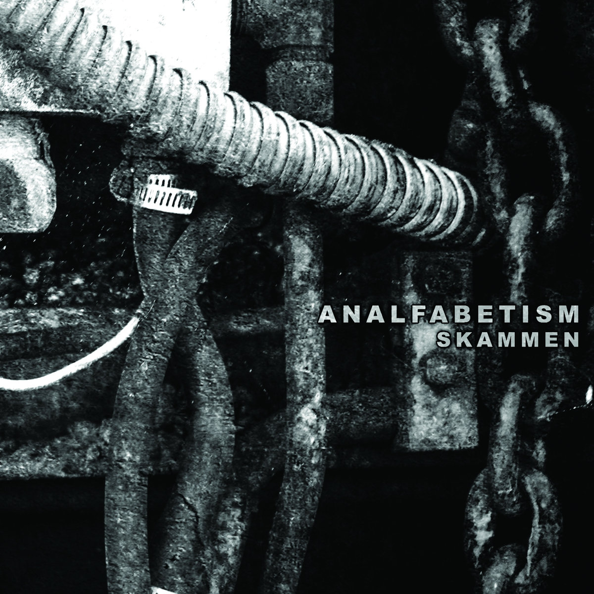 a1733159331_10 Analfabetism, "Skammen"
